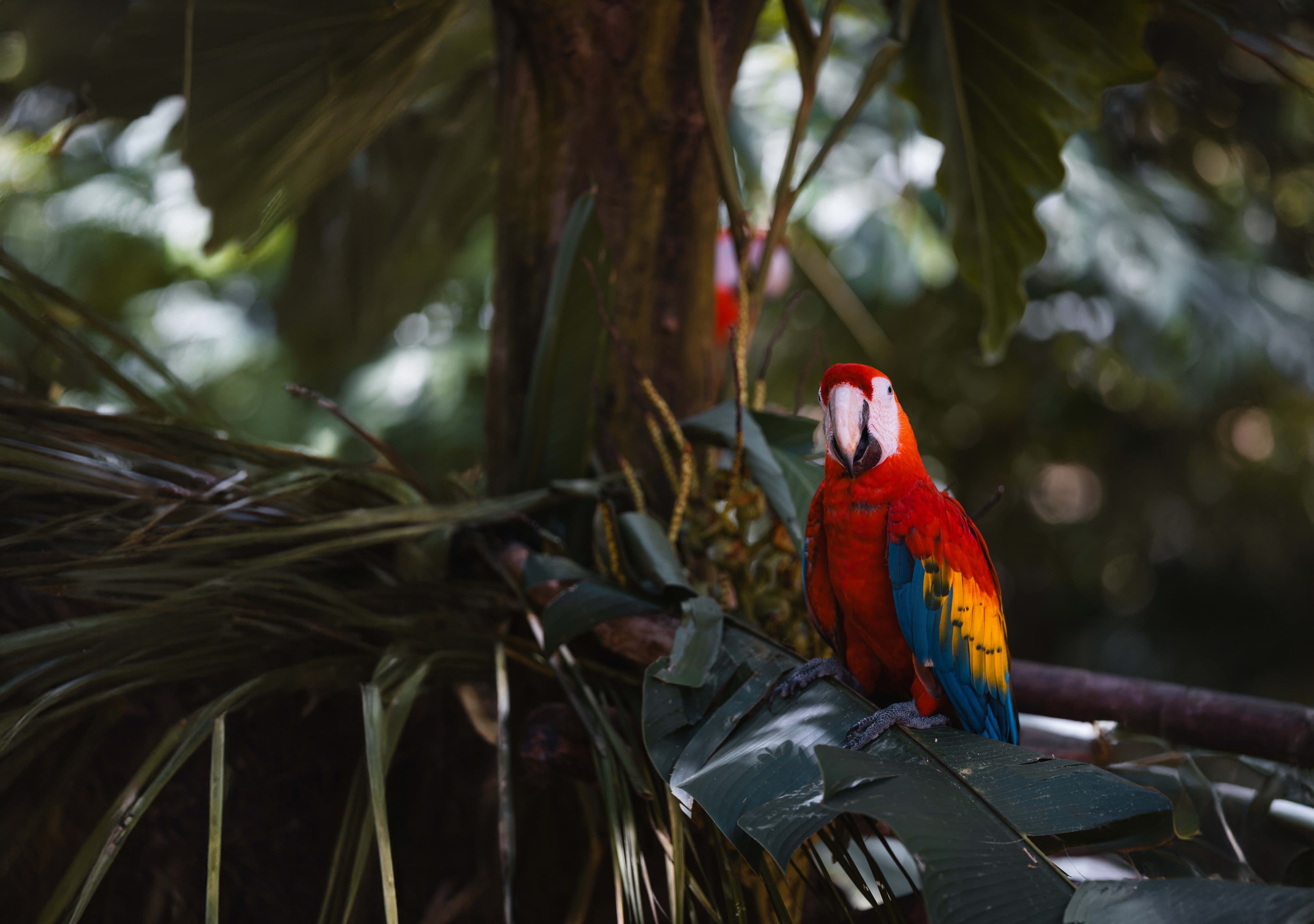 Coiba Nationalpark