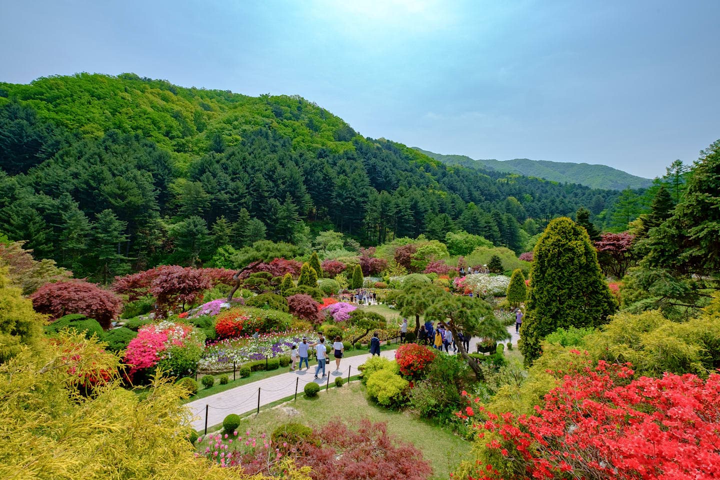 Petite France, Nami Island & Garden of Morning Calm thumbnail