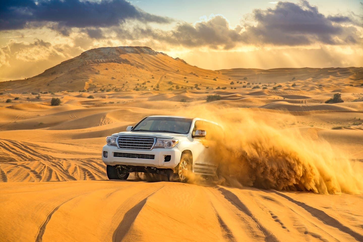 Half-day desert adventure in the Lahbab Desert thumbnail