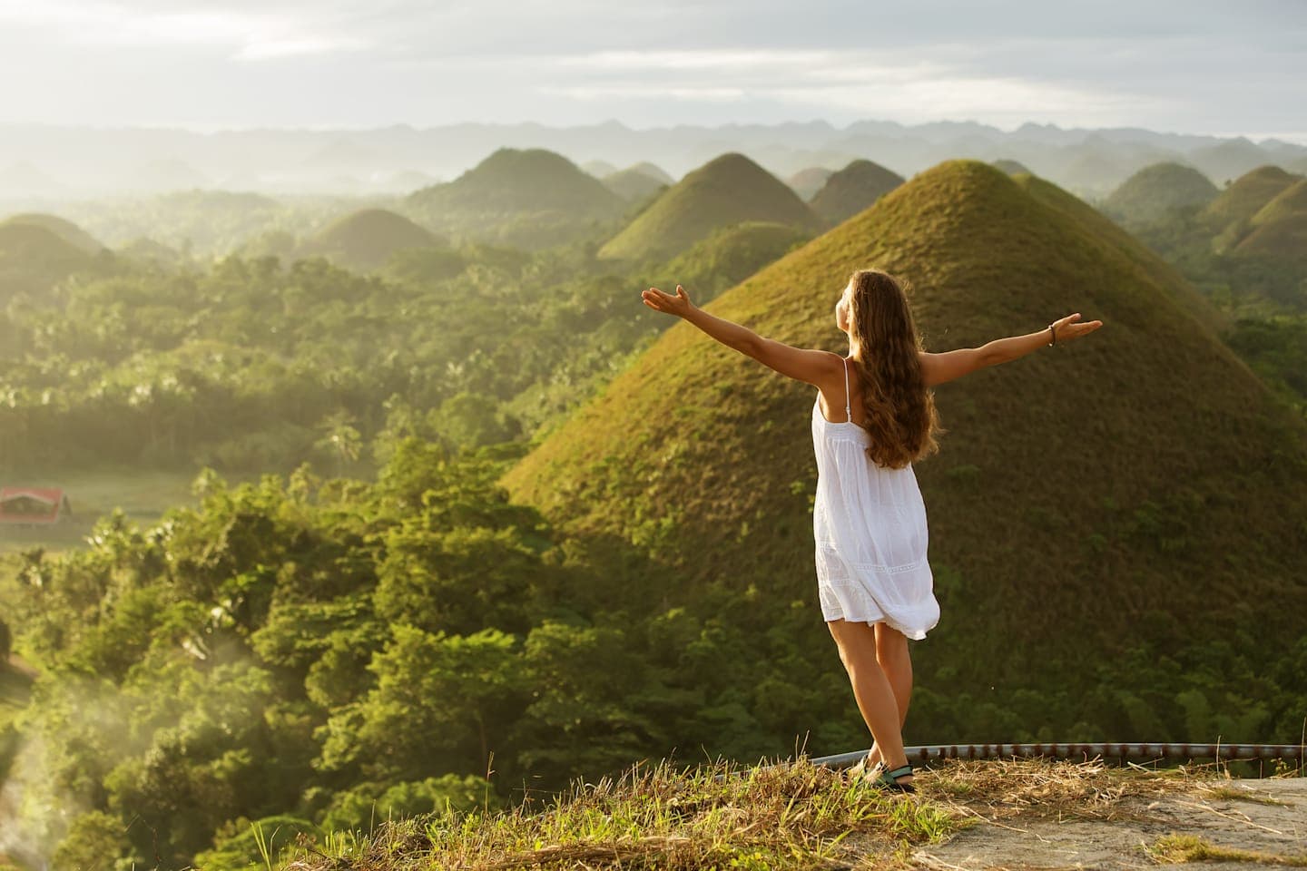 Tour zu den Chocolate Hills & Koboldmaki-Reservat thumbnail