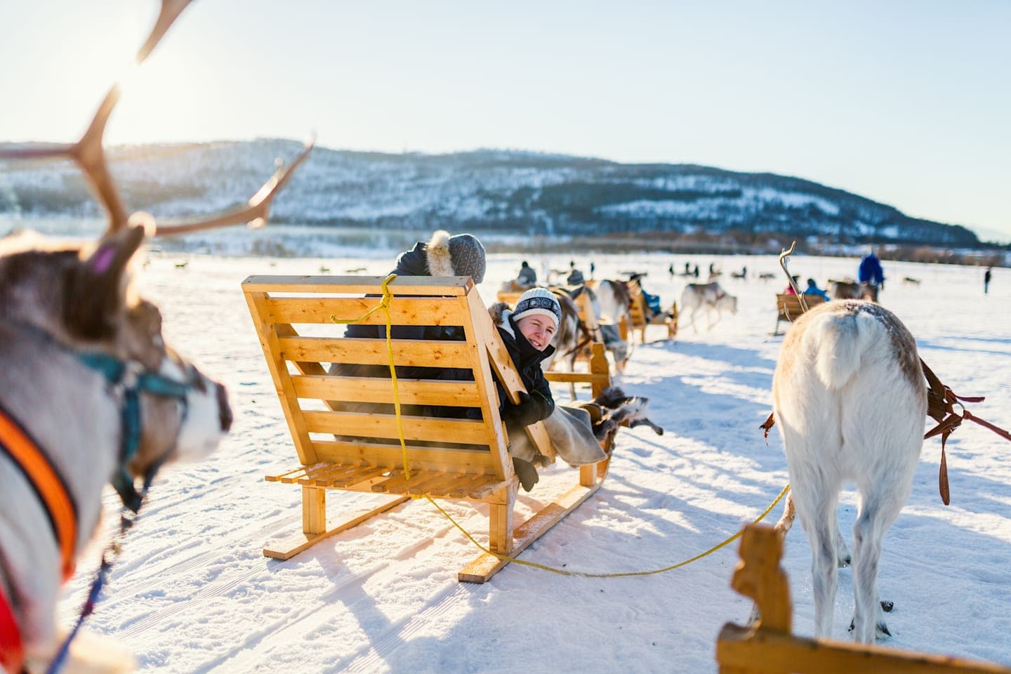 Excursion to a reindeer farm with a sled ride thumbnail