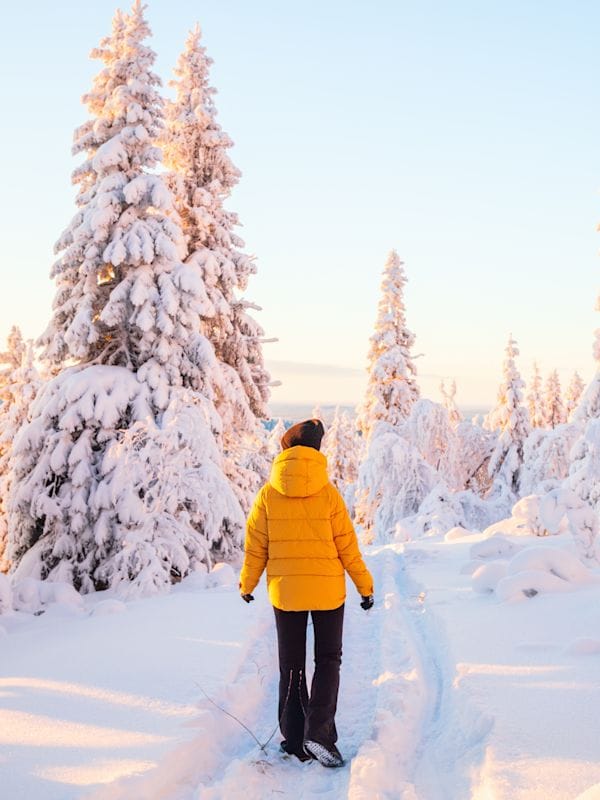 Zweden & Finland