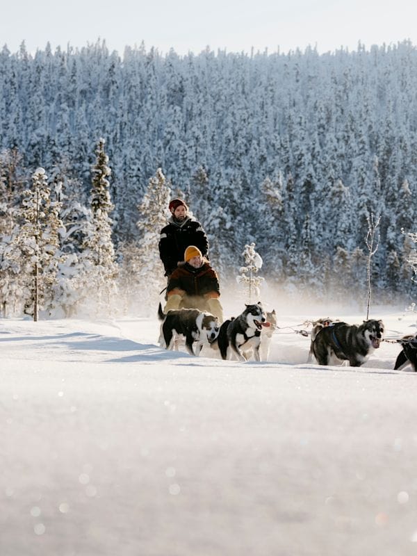 Fins Lapland