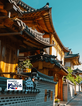 Seoul meets Jeju Island and Busan